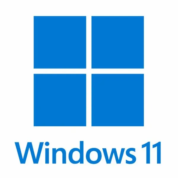 Windows 11 Professional