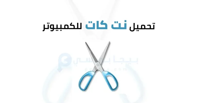 نت كات