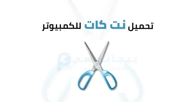 نت كات